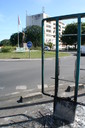 IMG_5684-1.JPG